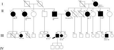 Case report: Germline POT1 mutation in a patient with GIST and lung adenocarcinoma